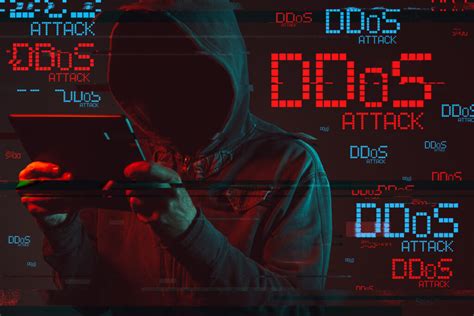 L’insolita difesa contro gli attacchi DDoS: Intuito felino e canino