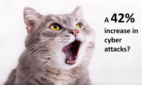 The Unanticipated Cybersecurity Heroes: Domestic Cats