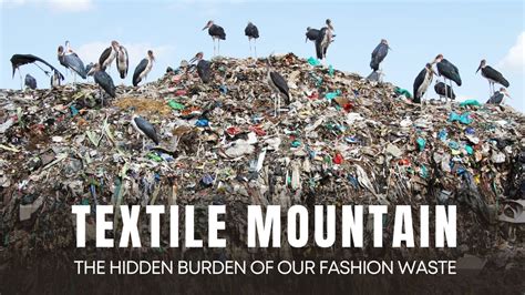 The Invisible Burden of Fashion: When Waste Outlives Wear