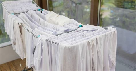 Revolutionary Laundry: How Japan’s Clothes-Drying Bathrooms Could Redefine Convenience