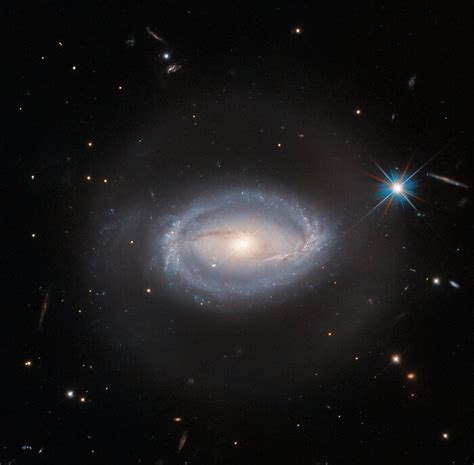 The Cosmic Enigma: Exploring a 1.3B-light-year-wide Ring of Galaxies