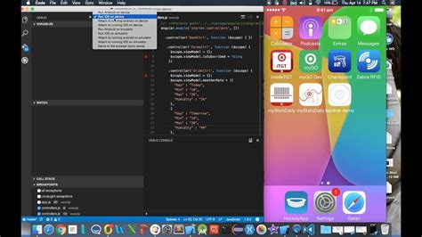 Unleashing Developer Potential: Running VSCode and Terminal on iOS Devices