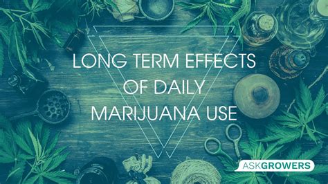 The True Impact of Daily Cannabis Use: A Balancing Act