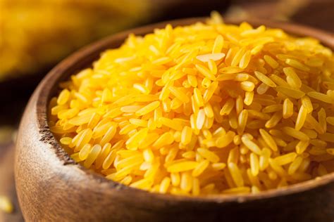 Golden Rice: A Golden Opportunity or a Misguided Miracle?