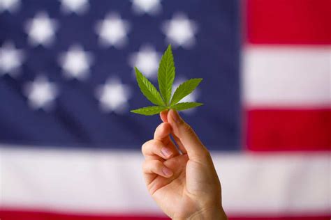 US Drug Control Agency’s Move to Reclassify Marijuana: A Leap Toward Progress or Political Play?