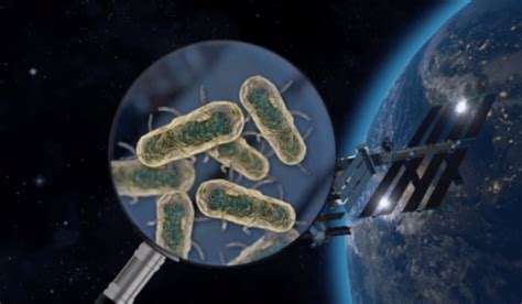 Exploring the Intriguing Evolution of Bacteria in Space: Insights from the ISS