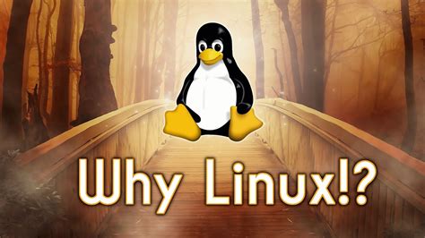 Why Linux May Be Your Best Option in the AI-Dominated Future