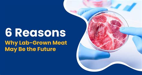 Why Singapore Invests Heavily in Lab-Grown Meat While the West Hesitates