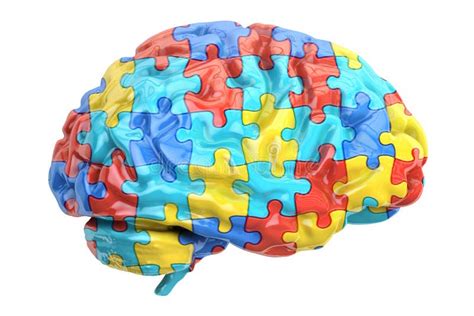 Brain Overgrowth in Autism: An Evolutionary Puzzle Worth Solving