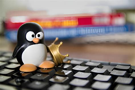 2024: El Año de Linux en el Escritorio Puede Ser una Realidad