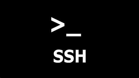 Mitigando Comportamentos Indesejados: OpenSSH Lança Novas Opções de Penalidade