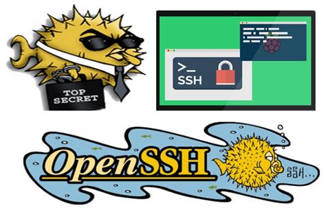 OpenSSH Introduces Options to Penalize Undesirable Behavior: A New Era in Secure Connections
