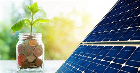 The Solar Gamble: Understanding the Financial and Environmental ROI of Solar Energy