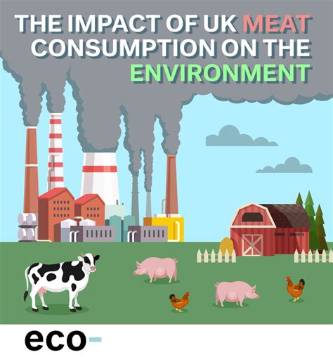 The Ethics and Environmental Impact of Meat Consumption: A Complex Trade-Off