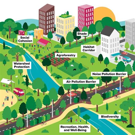 The Urban Forest: Rethinking Tree Management and Preservation in Our Cities
