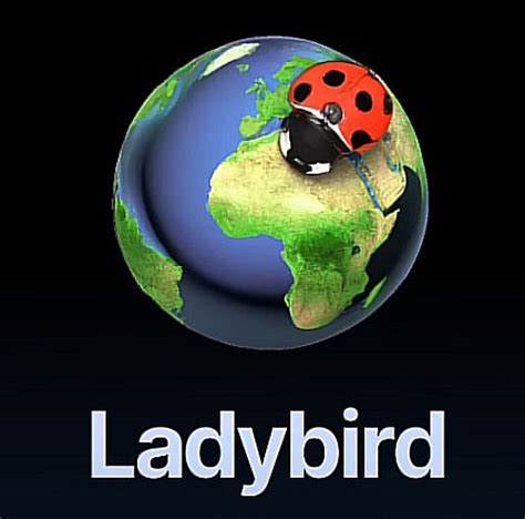 Ladybird: A New Contender in the Web Browser Market