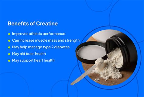 Exploring the Impact of Creatine on Physical Health: Benefits, Anecdotes, and Controversies