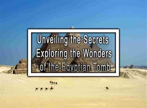 Unveiling the Hidden Wonders of a Buried Egyptian Port